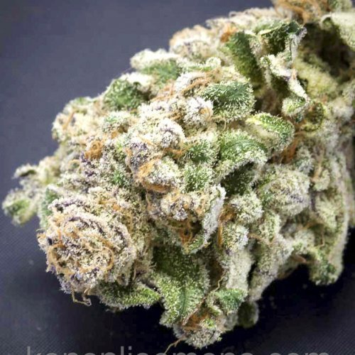 Купить стакан травы Auto Hindu Kush