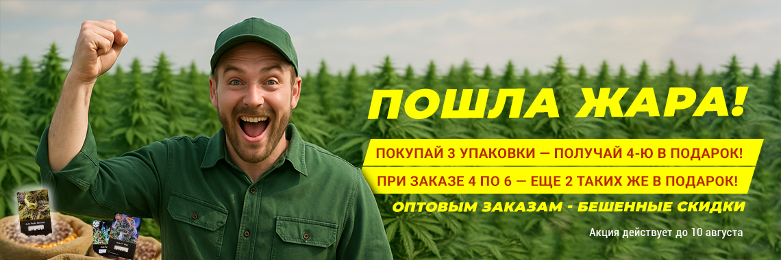 Жара