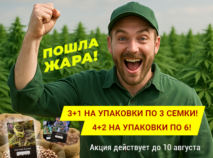 Жара